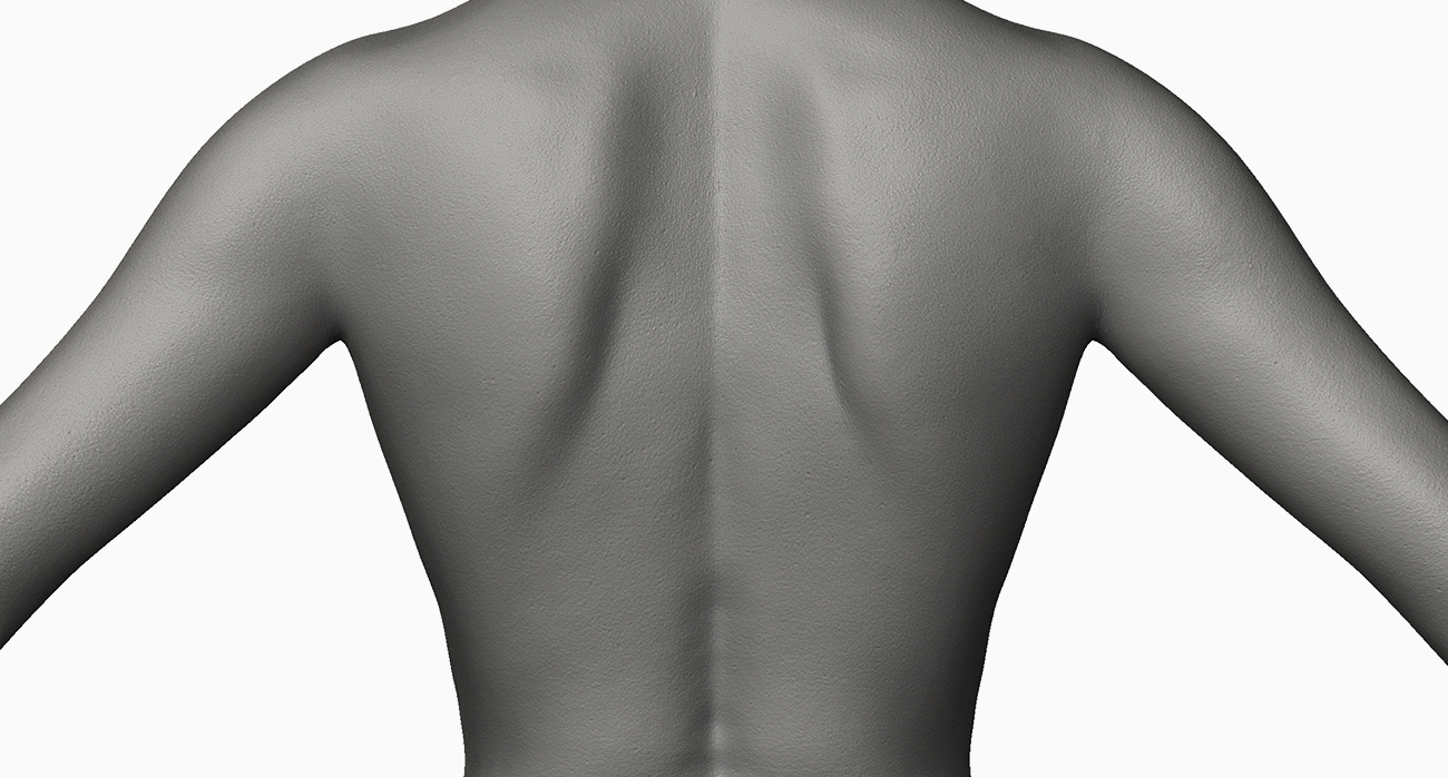This image features the back view of the 3D model of an Asian woman in her 20's. The model has a high level of detail, including visible muscle definition and realistic skin texture. The back view provides an essential perspective for visualizing the model from different angles, which can be useful for animation and rigging purposes. The model would be ideal for use in a variety of projects, including animation, gaming, and virtual reality experiences.